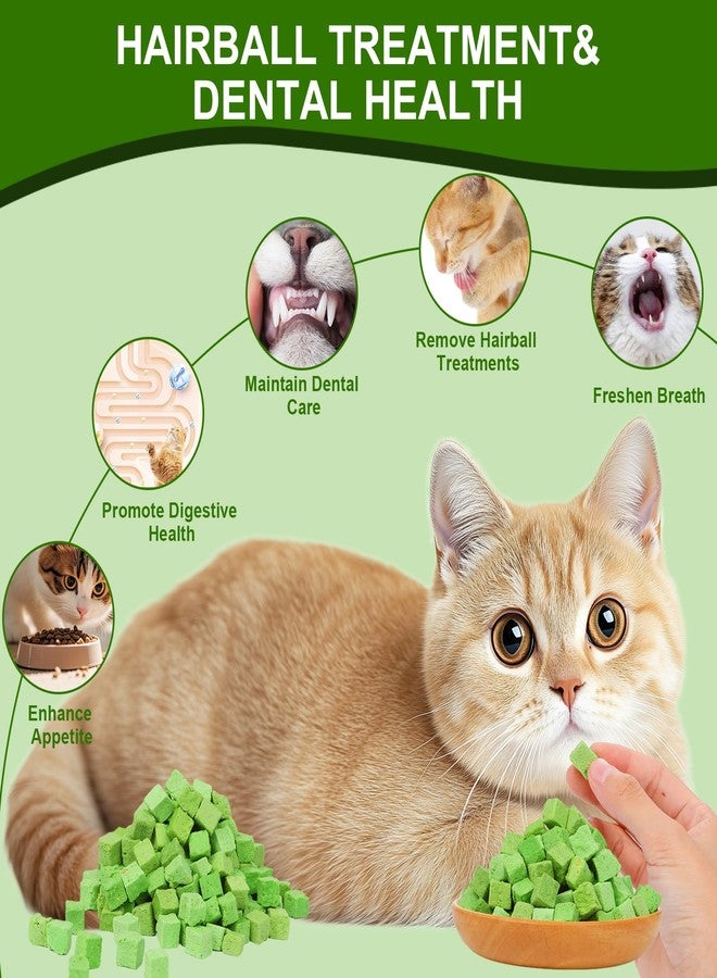 SuPruida 140g Freeze-Dried Cat Grass Treats, Natural Hairball Treatment for Cats, Edible Cats Chew Toy Cat Treats Snack for Teething Cleaning Hairball Removal - Image 2